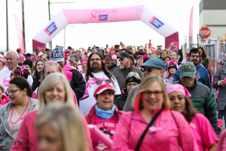 Pink Ribbon Walk and Run at Genesee Valley Park